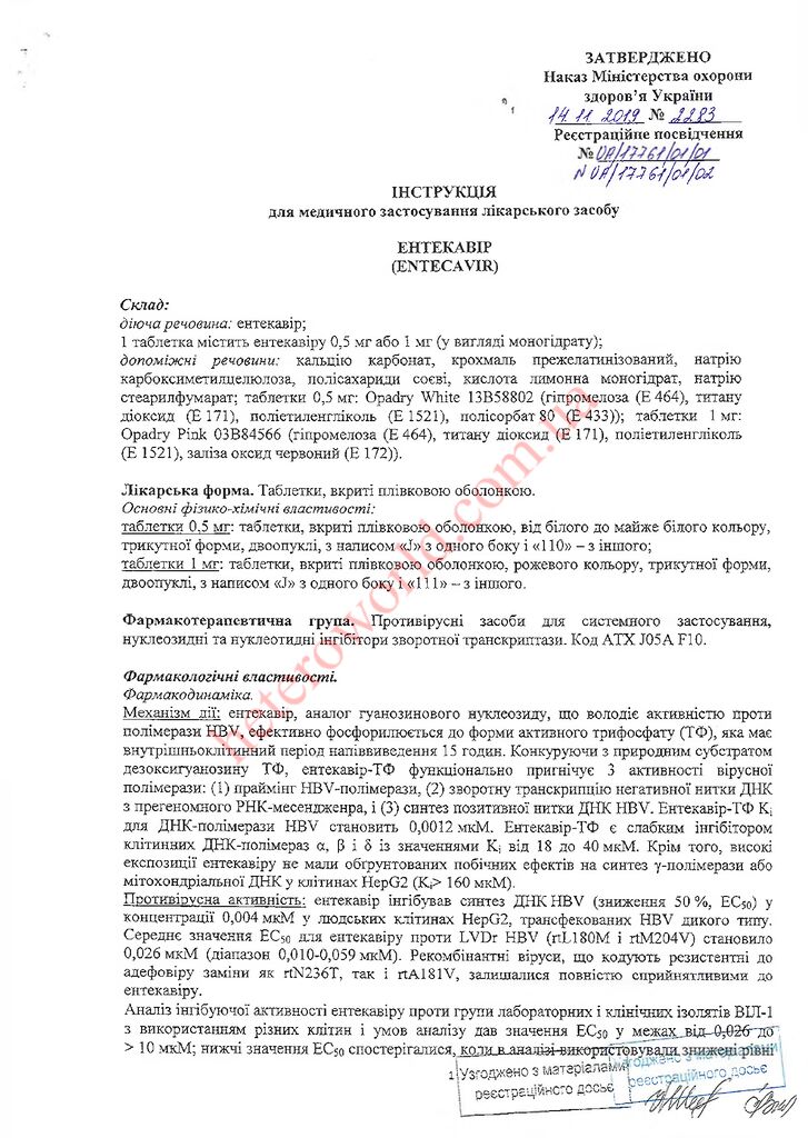 thumbnail of Instr_Entecavir tab_w
